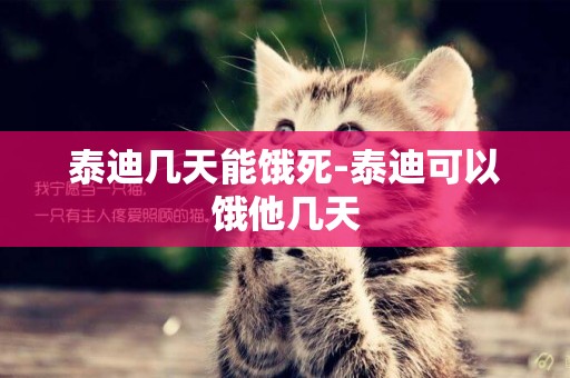 泰迪幾天能餓死-泰迪可以餓他幾天
