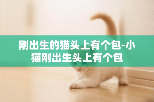 剛出生的貓頭上有個包-小貓剛出生頭上有個包