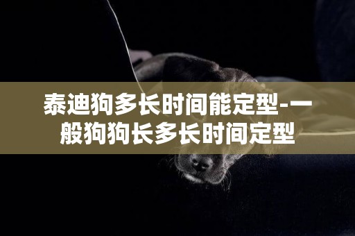 泰迪狗多長時間能定型-一般狗狗長多長時間定型