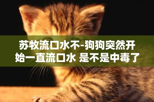 蘇牧流口水不-狗狗突然開始一直流口水 是不是中毒了