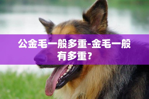 公金毛一般多重-金毛一般有多重？