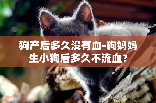 狗產后多久沒有血-狗媽媽生小狗后多久不流血？