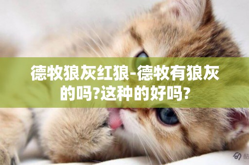 德牧狼灰紅狼-德牧有狼灰的嗎?這種的好嗎?