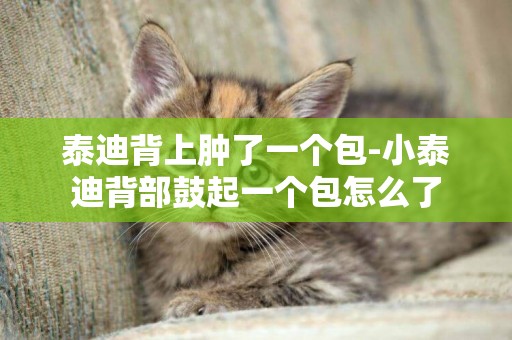 泰迪背上腫了一個包-小泰迪背部鼓起一個包怎么了