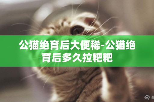 公貓絕育后大便稀-公貓絕育后多久拉粑粑