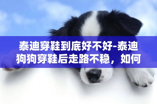 泰迪穿鞋到底好不好-泰迪狗狗穿鞋后走路不穩，如何訓練正常走路？