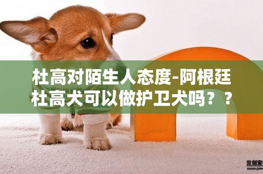 杜高對陌生人態度-阿根廷杜高犬可以做護衛犬嗎？？？對陌生人有攻擊力嗎？