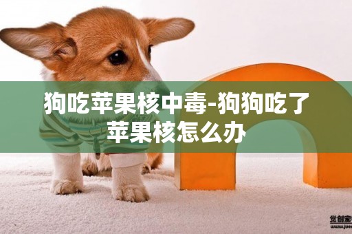 狗吃蘋果核中毒-狗狗吃了蘋果核怎么辦