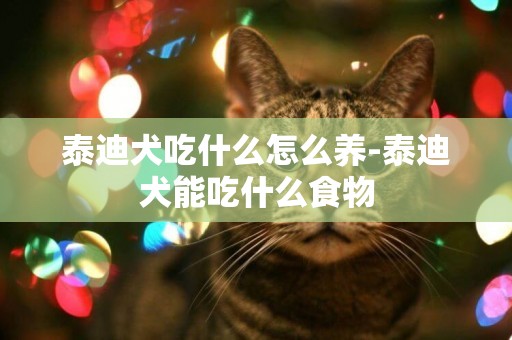 泰迪犬吃什么怎么養-泰迪犬能吃什么食物