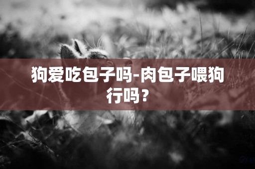 狗愛吃包子嗎-肉包子喂狗行嗎？