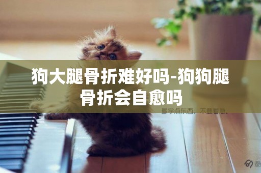 狗大腿骨折難好嗎-狗狗腿骨折會自愈嗎