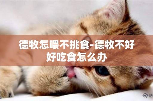 德牧怎喂不挑食-德牧不好好吃食怎么辦