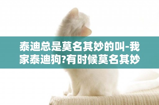泰迪總是莫名其妙的叫-我家泰迪狗?有時候莫名其妙的充人叫