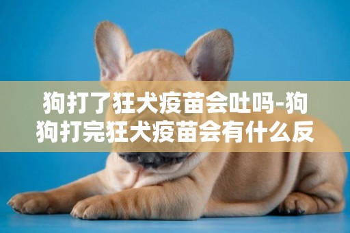 狗打了狂犬疫苗會吐嗎-狗狗打完狂犬疫苗會有什么反應