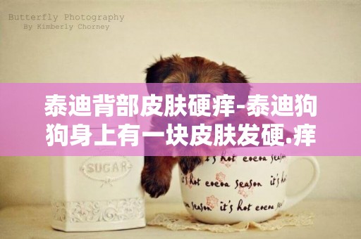 泰迪背部皮膚硬癢-泰迪狗狗身上有一塊皮膚發硬.癢的抓破了是怎么了