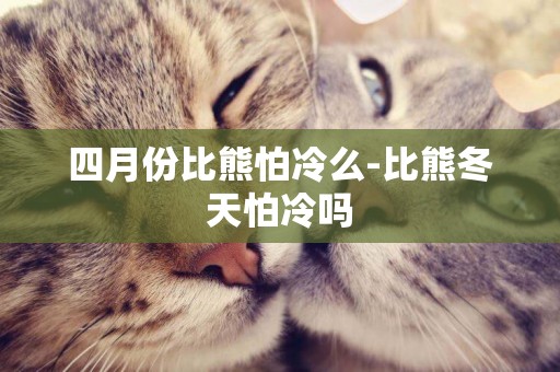 四月份比熊怕冷么-比熊冬天怕冷嗎