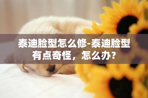 泰迪臉型怎么修-泰迪臉型有點奇怪，怎么辦？