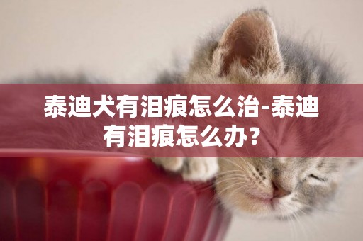 泰迪犬有淚痕怎么治-泰迪有淚痕怎么辦？