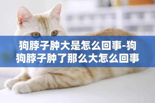狗脖子腫大是怎么回事-狗狗脖子腫了那么大怎么回事啊