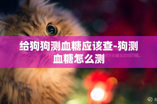 給狗狗測血糖應該查-狗測血糖怎么測