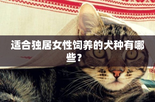 適合獨居女性飼養的犬種有哪些？ 