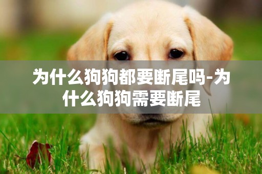 為什么狗狗都要斷尾嗎-為什么狗狗需要斷尾