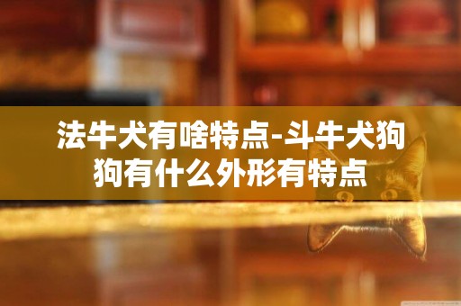 法牛犬有啥特點-斗牛犬狗狗有什么外形有特點