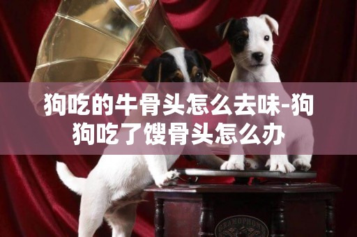 狗吃的牛骨頭怎么去味-狗狗吃了餿骨頭怎么辦