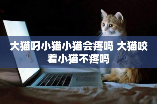 大貓叼小貓小貓會疼嗎 大貓咬著小貓不疼嗎