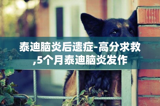 泰迪腦炎后遺癥-高分求救,5個月泰迪腦炎發作