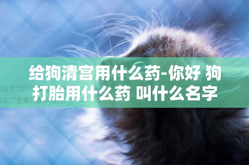 給狗清宮用什么藥-你好 狗打胎用什么藥 叫什么名字
