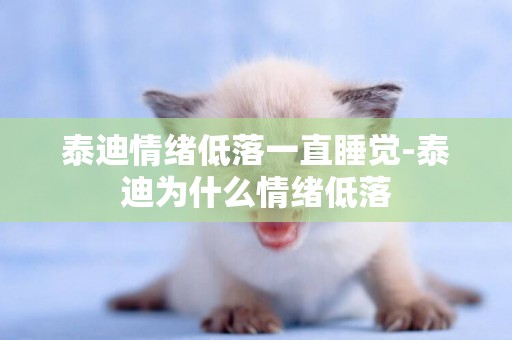 泰迪情緒低落一直睡覺-泰迪為什么情緒低落
