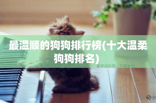 最溫順的狗狗排行榜(十大溫柔狗狗排名) 