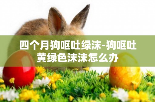 四個月狗嘔吐綠沫-狗嘔吐黃綠色沫沫怎么辦