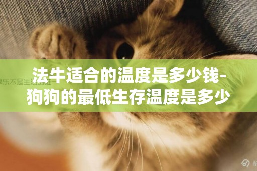 法牛適合的溫度是多少錢-狗狗的最低生存溫度是多少