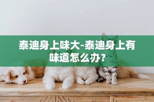 泰迪身上味大-泰迪身上有味道怎么辦？
