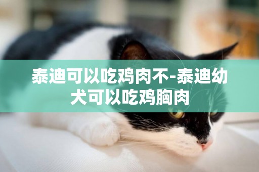 泰迪可以吃雞肉不-泰迪幼犬可以吃雞胸肉
