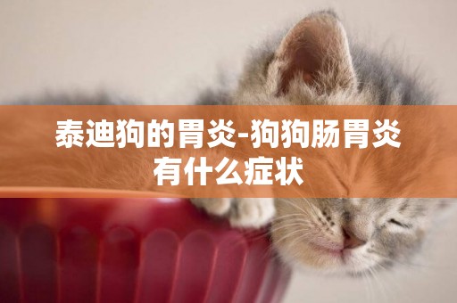 泰迪狗的胃炎-狗狗腸胃炎有什么癥狀