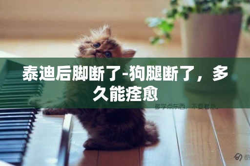 泰迪后腳斷了-狗腿斷了，多久能痊愈