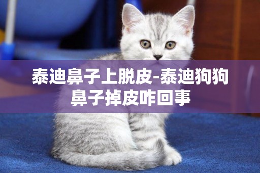 泰迪鼻子上脫皮-泰迪狗狗鼻子掉皮咋回事