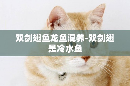 雙劍翅魚龍魚混養-雙劍翅是冷水魚