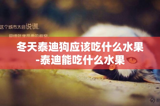 冬天泰迪狗應該吃什么水果-泰迪能吃什么水果