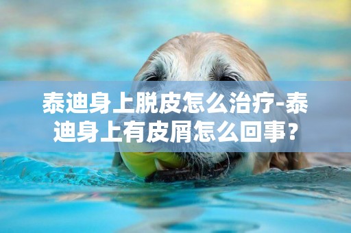 泰迪身上脫皮怎么治療-泰迪身上有皮屑怎么回事？
