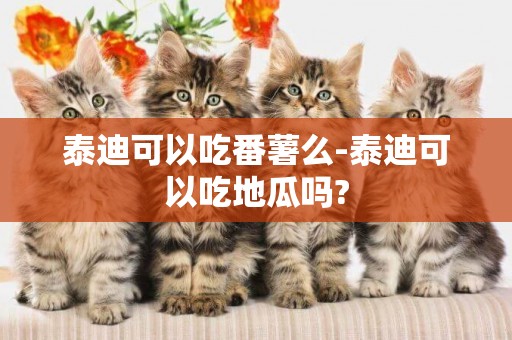泰迪可以吃番薯么-泰迪可以吃地瓜嗎?