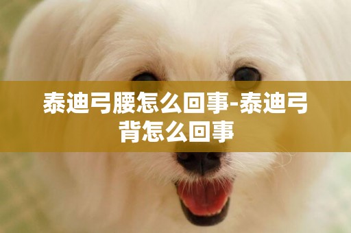 泰迪弓腰怎么回事-泰迪弓背怎么回事