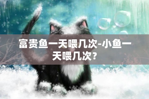 富貴魚一天喂幾次-小魚一天喂幾次？