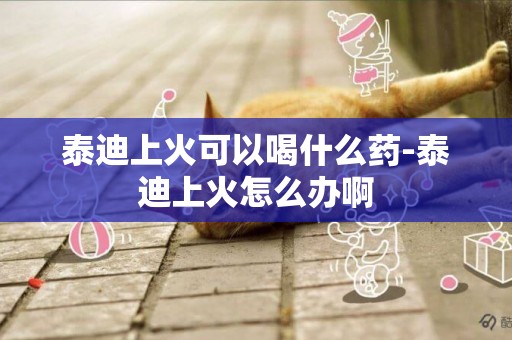 泰迪上火可以喝什么藥-泰迪上火怎么辦啊
