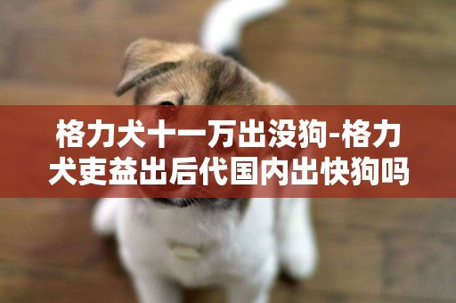 格力犬十一萬出沒狗-格力犬吏益出后代國內出快狗嗎