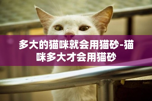 多大的貓咪就會用貓砂-貓咪多大才會用貓砂