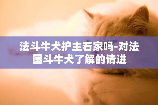 法斗牛犬護主看家嗎-對法國斗牛犬了解的請進